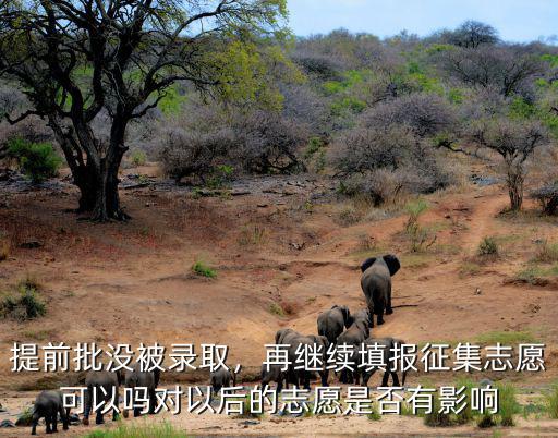提前批没被录的怎么办,提前批没被录取