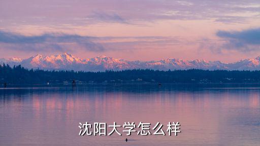沈阳大学怎么样