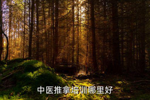 中医推拿培训哪里好