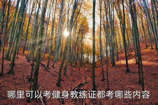 哪里可以考健身教练证都考哪些内容