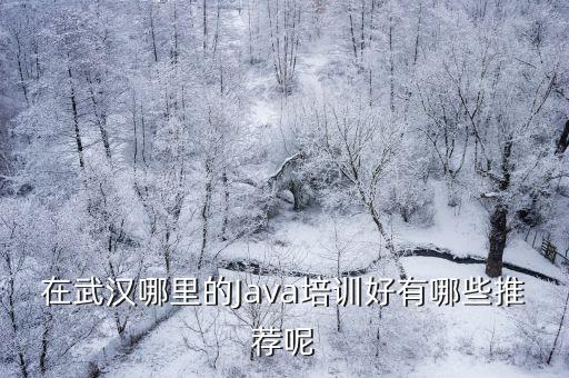 在武汉哪里的Java培训好有哪些推荐呢