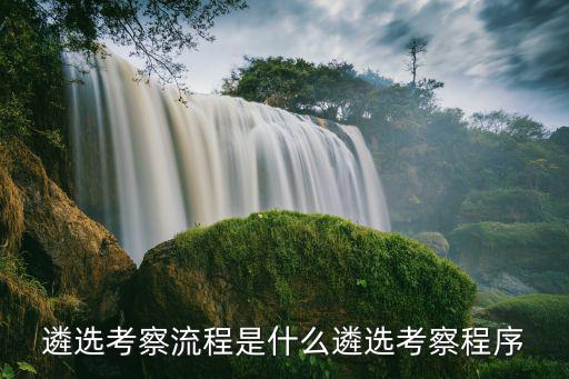 遴选考察流程是什么遴选考察程序