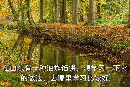 想学做馅饼哪里培训,哪里可以学做烧饼