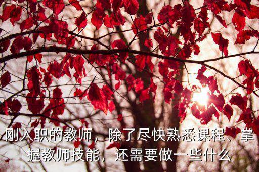 教师要做什么,教师业余时间可以做什么