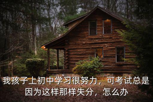 考试怎么努力,怎样努力考试能达到100分