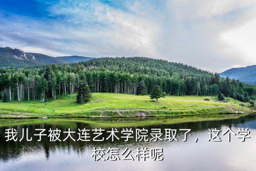 大连星动力艺术学校费用怎么样,我儿子被大连艺术学院录取了