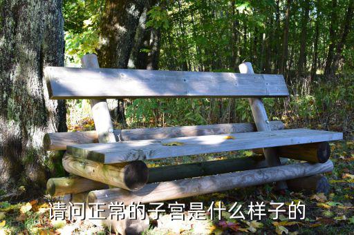 维持子宫四对韧带是什么,子宫前位是什么意思