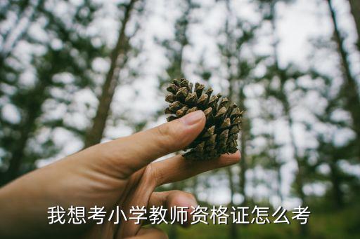 我想考小学教师资格证怎么考