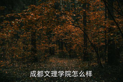 成都新天学校怎么样,四川工商学院怎么样