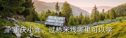 重庆小面、过桥米线哪里可以学