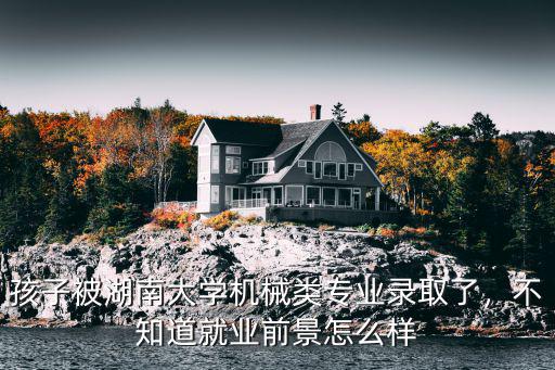 孩子被湖南大学机械类专业录取了，不知道就业前景怎么样