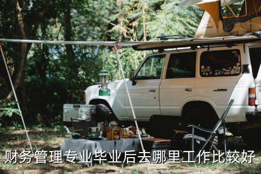 广财会计毕业的人都去了哪里,那些学会计专业的人