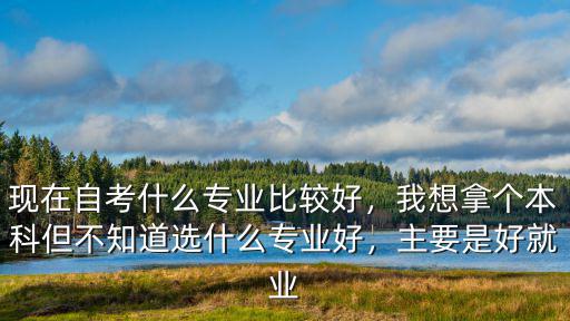 现在自考什么专业比较好，我想拿个本科但不知道选什么专业好，主要是好就业
