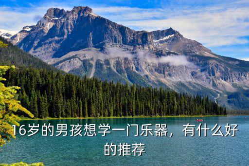 16岁的男孩想学一门乐器，有什么好的推荐