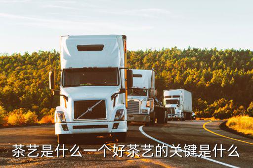 学茶艺有什么要求,学习茶艺有什么好处
