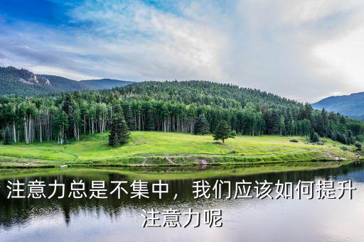 注意力经常不集中怎么办,注意力总是不集中