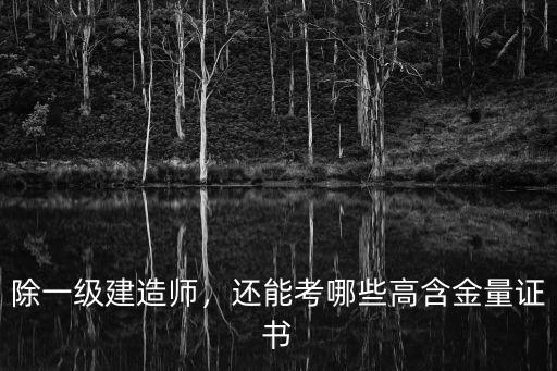 除了建造师之外还可以考什么证,除一级建造师