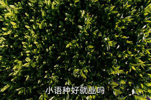 小语种从事什么工作,小语种好就业吗