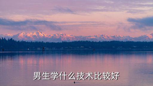 男生学什么技术比较好