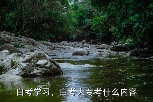 自考学习，自考大专考什么内容