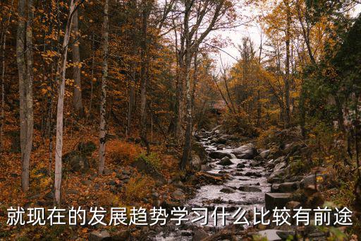 就现在的发展趋势学习什么比较有前途