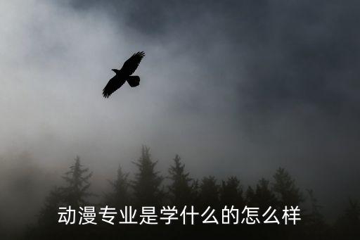 动漫专业是学什么的怎么样