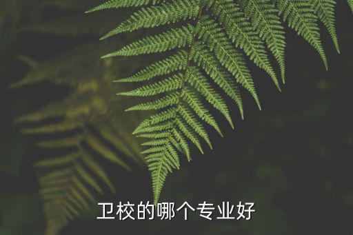 读卫校都有什么专业,卫校的哪个专业好