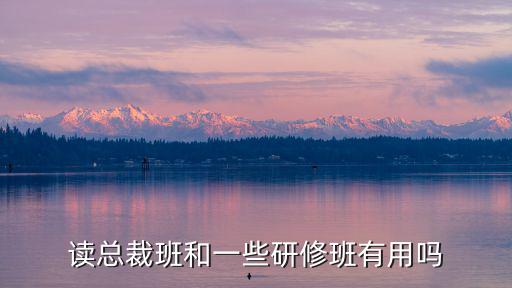 在职课程研修班怎么样,在职考研怎么样