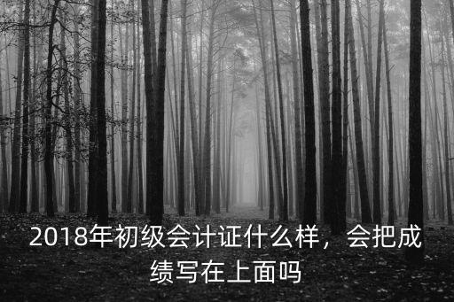2018年初级会计证什么样，会把成绩写在上面吗