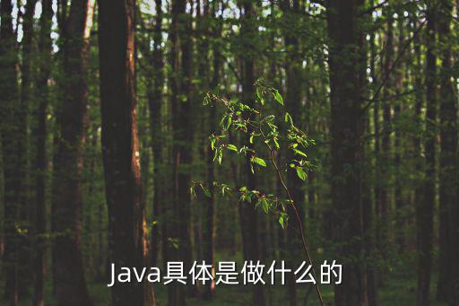 Java具体是做什么的