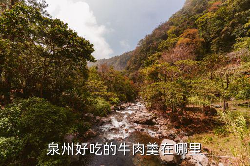 泉州好吃的牛肉羹在哪里