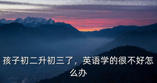 孩子初二升初三了，英语学的很不好怎么办