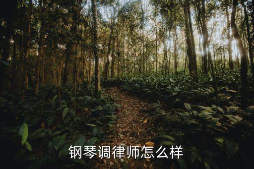 钢琴调律师怎么样