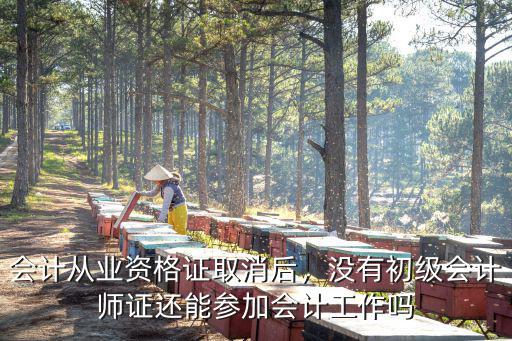 2017取消会计从业资格改用什么,会计从业资格证取消后