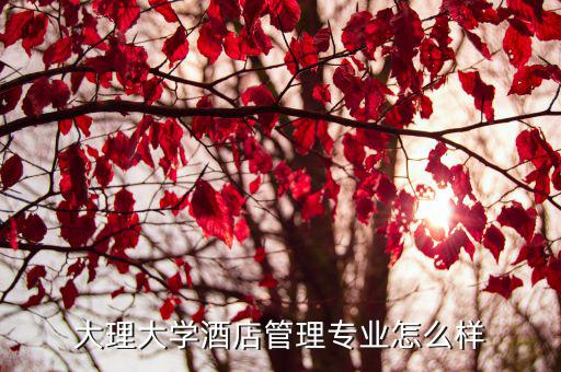 无锡什么学校有酒店管理专业的,大理大学酒店管理专业怎么样