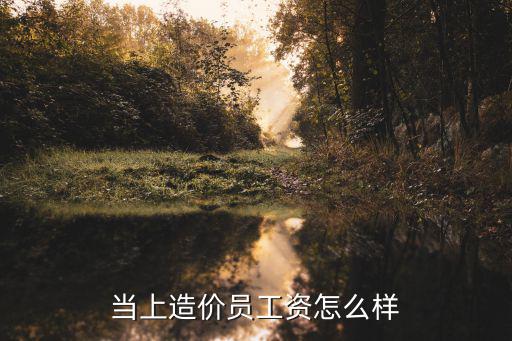 当上造价员工资怎么样