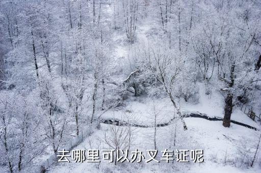 去哪里可以办叉车证呢