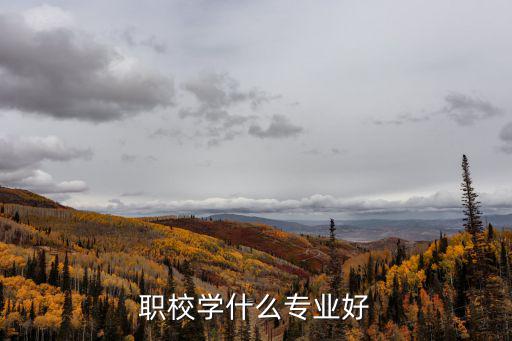 职校学什么专业好