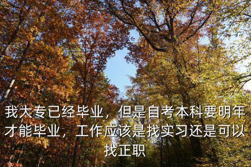 我大专已经毕业，但是自考本科要明年才能毕业，工作应该是找实习还是可以找正职