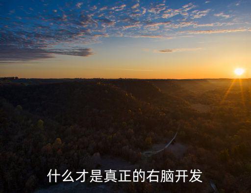 什么叫右脑开发,什么才是真正的右脑开发