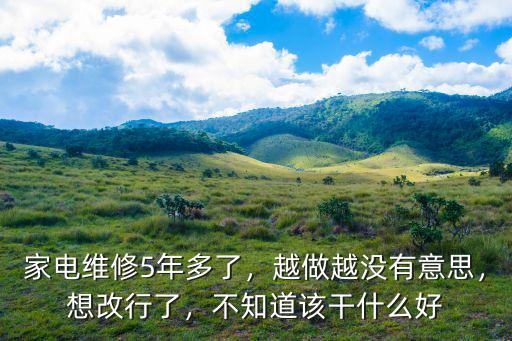 家电维修技师干什么,家电维修5年多了