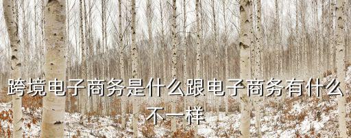 跨境电子商务师是什么,跨境电商主要做什么
