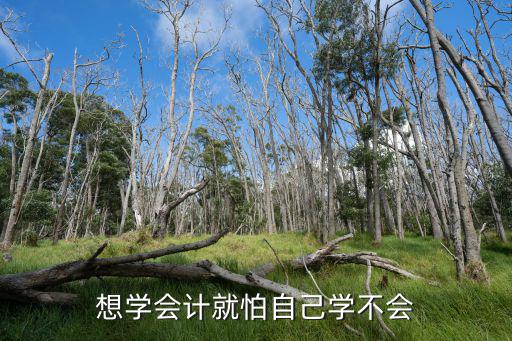 想学会计就怕自己学不会