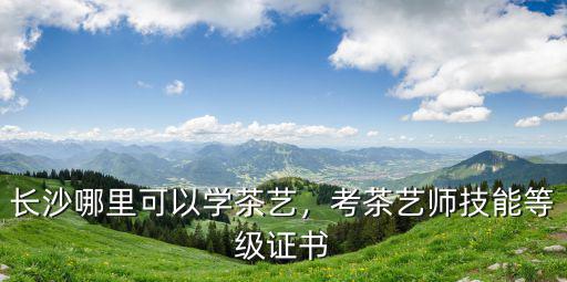 中国哪里学茶艺,长沙哪里可以学茶艺