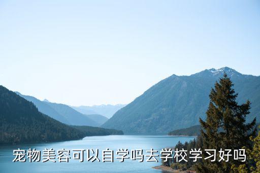 宠物美容可以自学吗去学校学习好吗