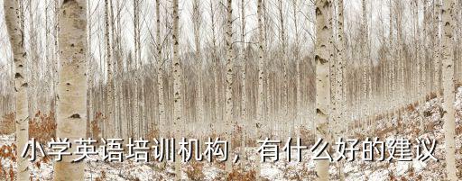 小学英语培训机构，有什么好的建议