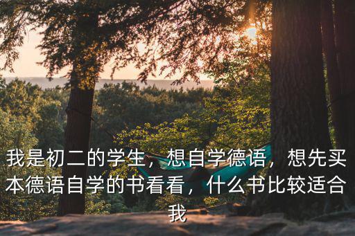 学德语买什么书,自学日或德语应该买什么书