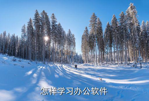 怎样学习办公软件