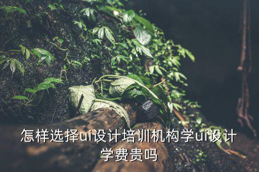 怎样选择ui设计培训机构学ui设计学费贵吗