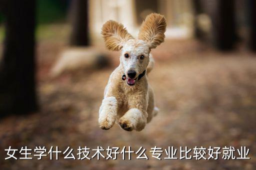 女生学什么技术就业好,女生学什么技术好